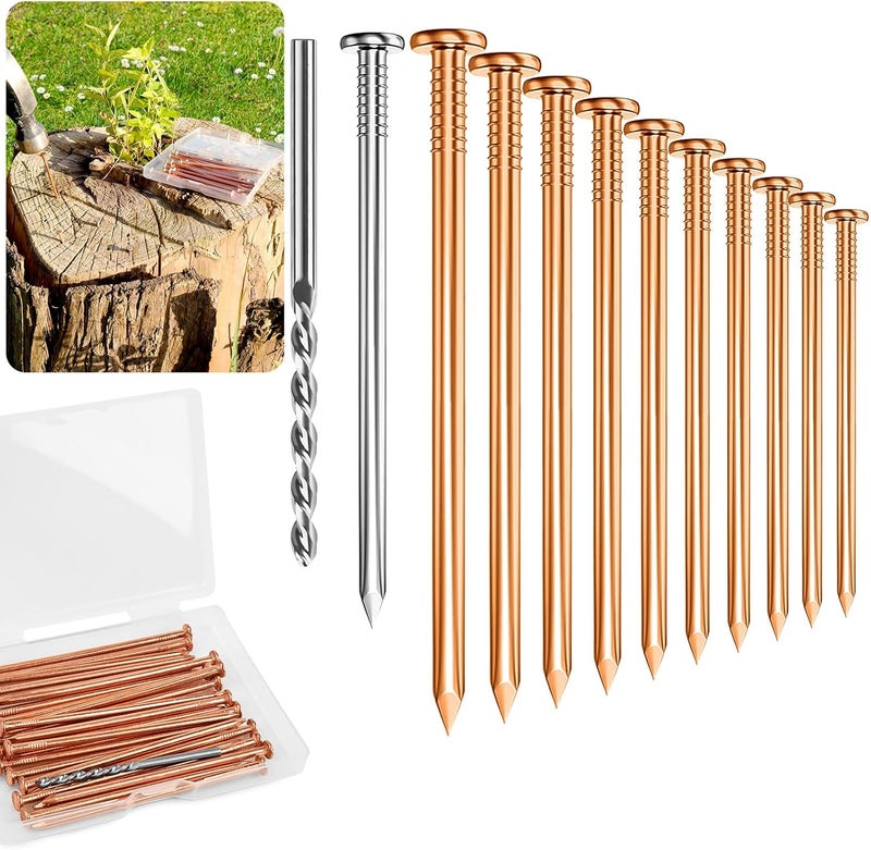UCandy 4" Copper Nails for Killing Trees Stump Root, 20 pcs Copper Nails with Drill, Stump Removal Spikes Hardware Nails for Trees - Image 1